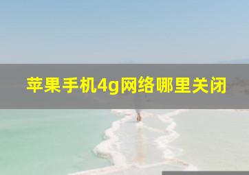 苹果手机4g网络哪里关闭