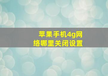 苹果手机4g网络哪里关闭设置