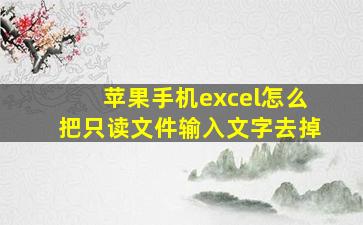 苹果手机excel怎么把只读文件输入文字去掉