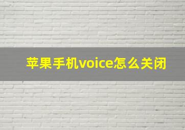 苹果手机voice怎么关闭