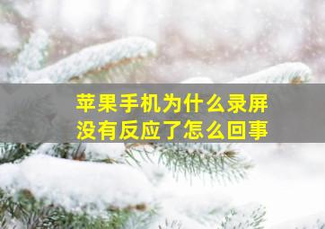 苹果手机为什么录屏没有反应了怎么回事