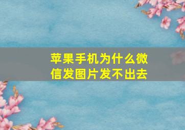 苹果手机为什么微信发图片发不出去