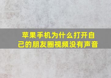 苹果手机为什么打开自己的朋友圈视频没有声音