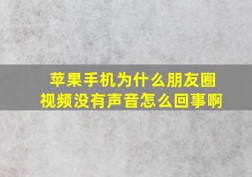 苹果手机为什么朋友圈视频没有声音怎么回事啊