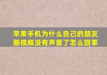 苹果手机为什么自己的朋友圈视频没有声音了怎么回事