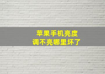 苹果手机亮度调不亮哪里坏了