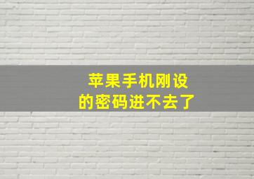 苹果手机刚设的密码进不去了