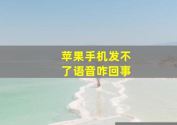 苹果手机发不了语音咋回事