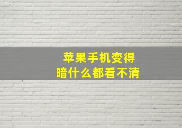 苹果手机变得暗什么都看不清