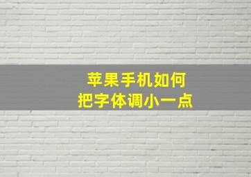 苹果手机如何把字体调小一点