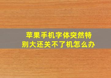 苹果手机字体突然特别大还关不了机怎么办