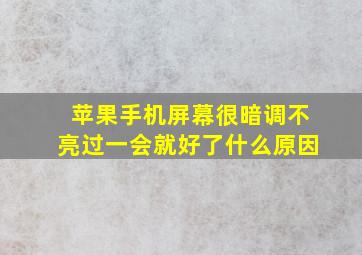 苹果手机屏幕很暗调不亮过一会就好了什么原因