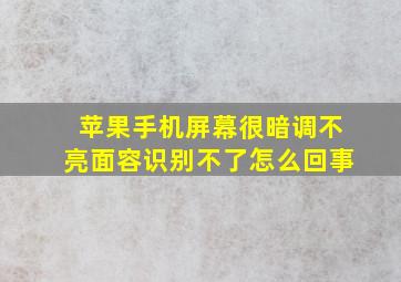 苹果手机屏幕很暗调不亮面容识别不了怎么回事