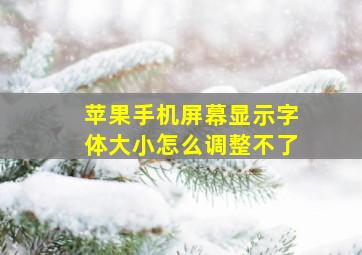 苹果手机屏幕显示字体大小怎么调整不了