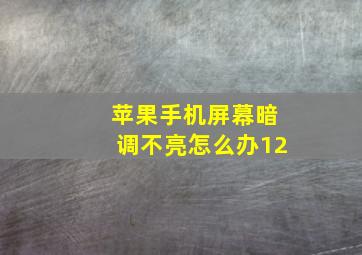 苹果手机屏幕暗调不亮怎么办12