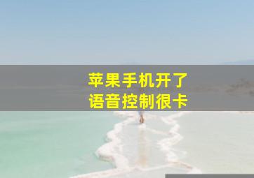 苹果手机开了语音控制很卡