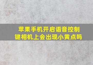 苹果手机开启语音控制键相机上会出现小黄点吗