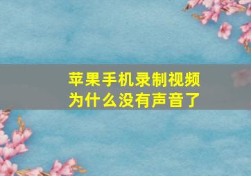 苹果手机录制视频为什么没有声音了