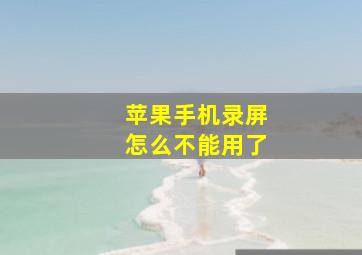 苹果手机录屏怎么不能用了