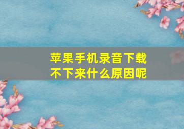 苹果手机录音下载不下来什么原因呢