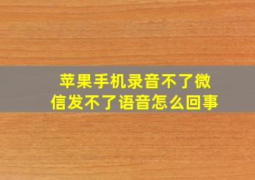 苹果手机录音不了微信发不了语音怎么回事