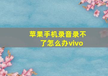 苹果手机录音录不了怎么办vivo