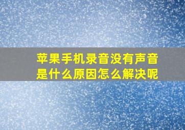 苹果手机录音没有声音是什么原因怎么解决呢