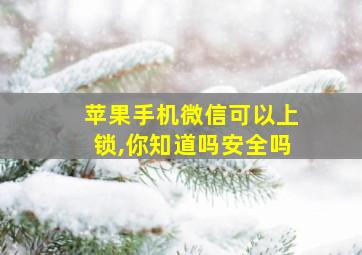 苹果手机微信可以上锁,你知道吗安全吗