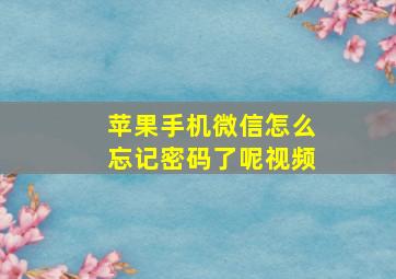 苹果手机微信怎么忘记密码了呢视频