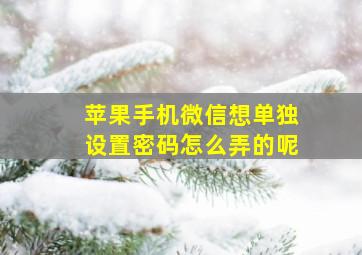 苹果手机微信想单独设置密码怎么弄的呢