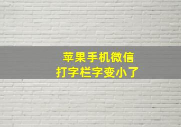 苹果手机微信打字栏字变小了