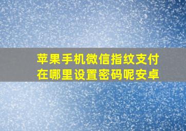 苹果手机微信指纹支付在哪里设置密码呢安卓