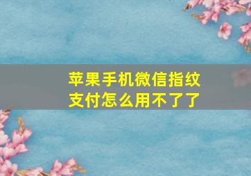 苹果手机微信指纹支付怎么用不了了