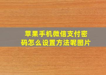 苹果手机微信支付密码怎么设置方法呢图片