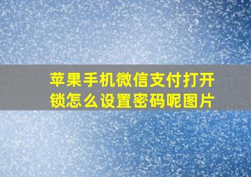 苹果手机微信支付打开锁怎么设置密码呢图片