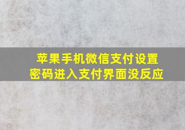 苹果手机微信支付设置密码进入支付界面没反应