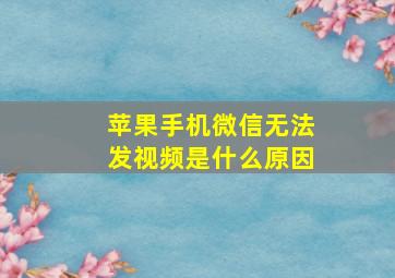 苹果手机微信无法发视频是什么原因