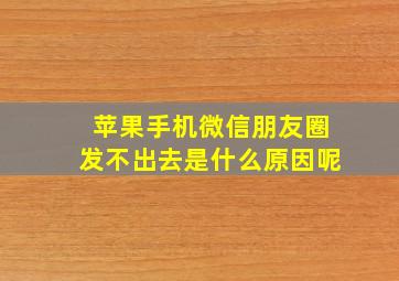 苹果手机微信朋友圈发不出去是什么原因呢