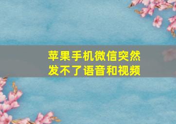 苹果手机微信突然发不了语音和视频