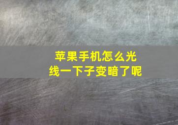 苹果手机怎么光线一下子变暗了呢