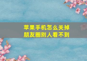 苹果手机怎么关掉朋友圈别人看不到