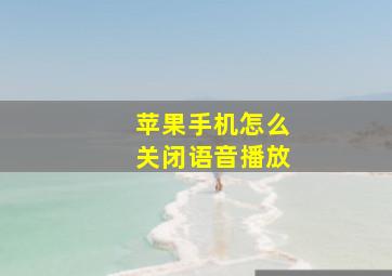 苹果手机怎么关闭语音播放