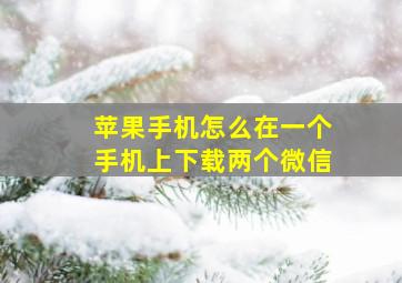 苹果手机怎么在一个手机上下载两个微信