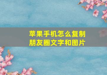 苹果手机怎么复制朋友圈文字和图片