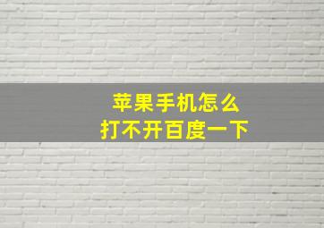 苹果手机怎么打不开百度一下