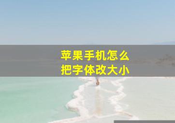 苹果手机怎么把字体改大小