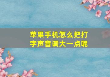 苹果手机怎么把打字声音调大一点呢