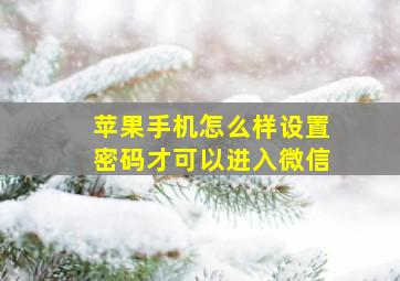 苹果手机怎么样设置密码才可以进入微信