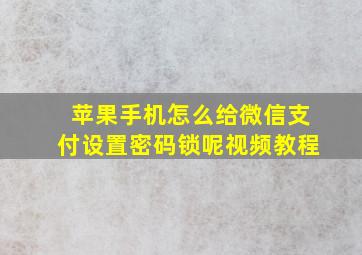 苹果手机怎么给微信支付设置密码锁呢视频教程