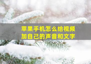 苹果手机怎么给视频加自己的声音和文字